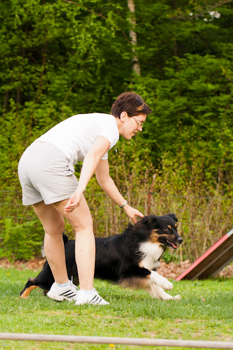 18 - trénink se smečkou, agility -  připravit a téééééď